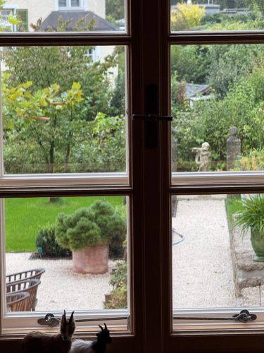 Garten-Brunnhausgasse-Okt8