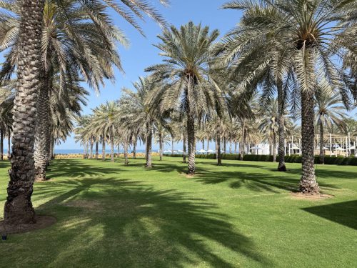 Ira Schwarz und Dieter Mann Oman 2026