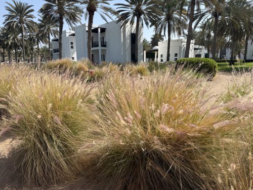 Ira Schwarz und Dieter Mann Oman 2026